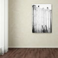 thumbnail image 3 of Trademark Fine Art 'Freed' Canvas Art by Jurgen Hartlieb, 3 of 3