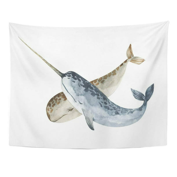 Zealgned Blue Painting Watercolor Narwhal Hand Whale Realistic Underwater Silver Aquatic Wall Art Hanging Tapestry Home Decor For Living Room Bedroom Dorm 51x60 Inch Com - Narwhal Home Decor