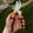 as shown, variant on Professional Heavy Duty Pruning Shears for Thick Branches, Shrubs & Bushes - Ergonomic Hedge Shears with Durable Metal Blades, Precision Garden Scissors for Fruit Trees & Landscaping Tools