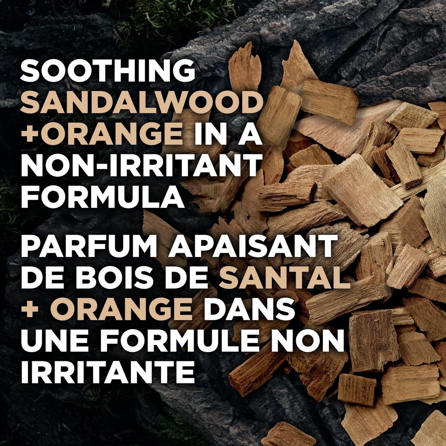 Désodorisant Dove Men+Care 0 % Aluminium Parfum de Bois de Santal et Ambre 74 g Désodorisant