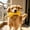 Yellow, variant on Durable Nonwoven Dog Chew Rope Tool – Interactive Doggies Teeth Grinding & Oral Cleaning Stick, Tug Rope, Lightweight, Quiet for Indoor/Outdoor, Yellow