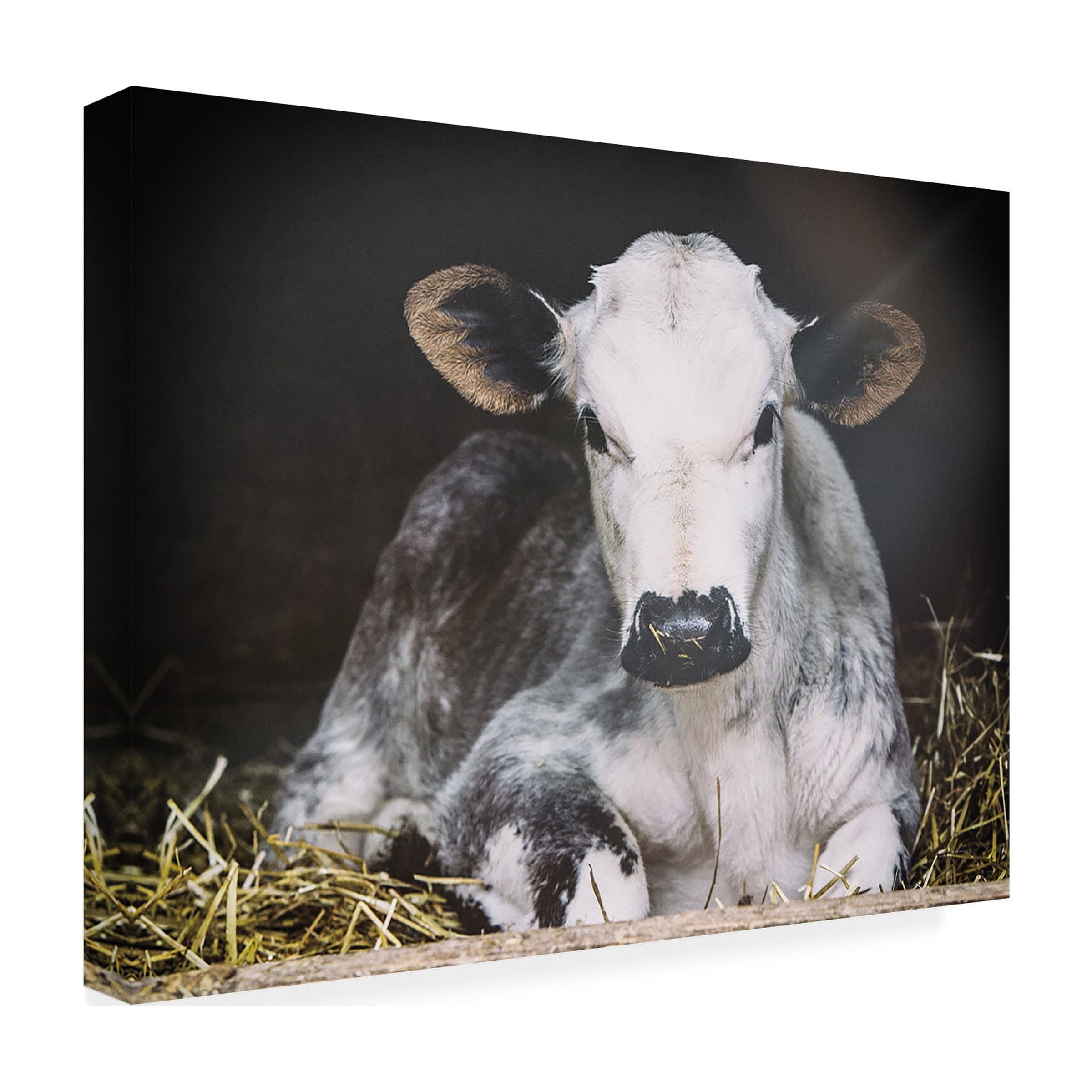 Trademark Fine Art 'Busy Day' Canvas Art by Aledanda