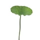 thumbnail image 2 of Simulación Plástica 1 pieza de flores artificiales de loto verde y nenúfares para decoración de mesa de comedor,mueble de TV y pecera (M) Rkxzt, 2 of 9
