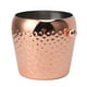 thumbnail image 4 of Cubo de hielo para vino, cubo de hielo, cubo de hielo de acero inoxidable, cubo de hielo aislado, rendimiento confiable, 4 of 8