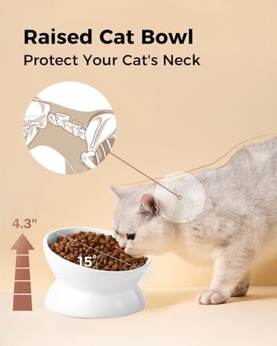 Elevated Cat Food Bowl, 5 Oz Ceramic Raised and Tilted Water Bowl, Anti Vomiting and Protect Pets' Spines Dishes for Small Dog, Fat Faced Cat, Kitten (White, 10 OZ)