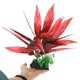 thumbnail image 5 of GOOHOCHY Planta Artificial Para De Peces Con Para, 5 of 6