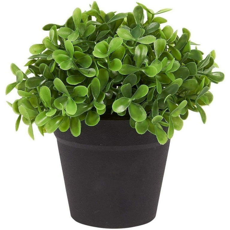 TOGEVAL 3 Pièces Lot De Plantes Artificielles Vertes Faux Eucalyptus