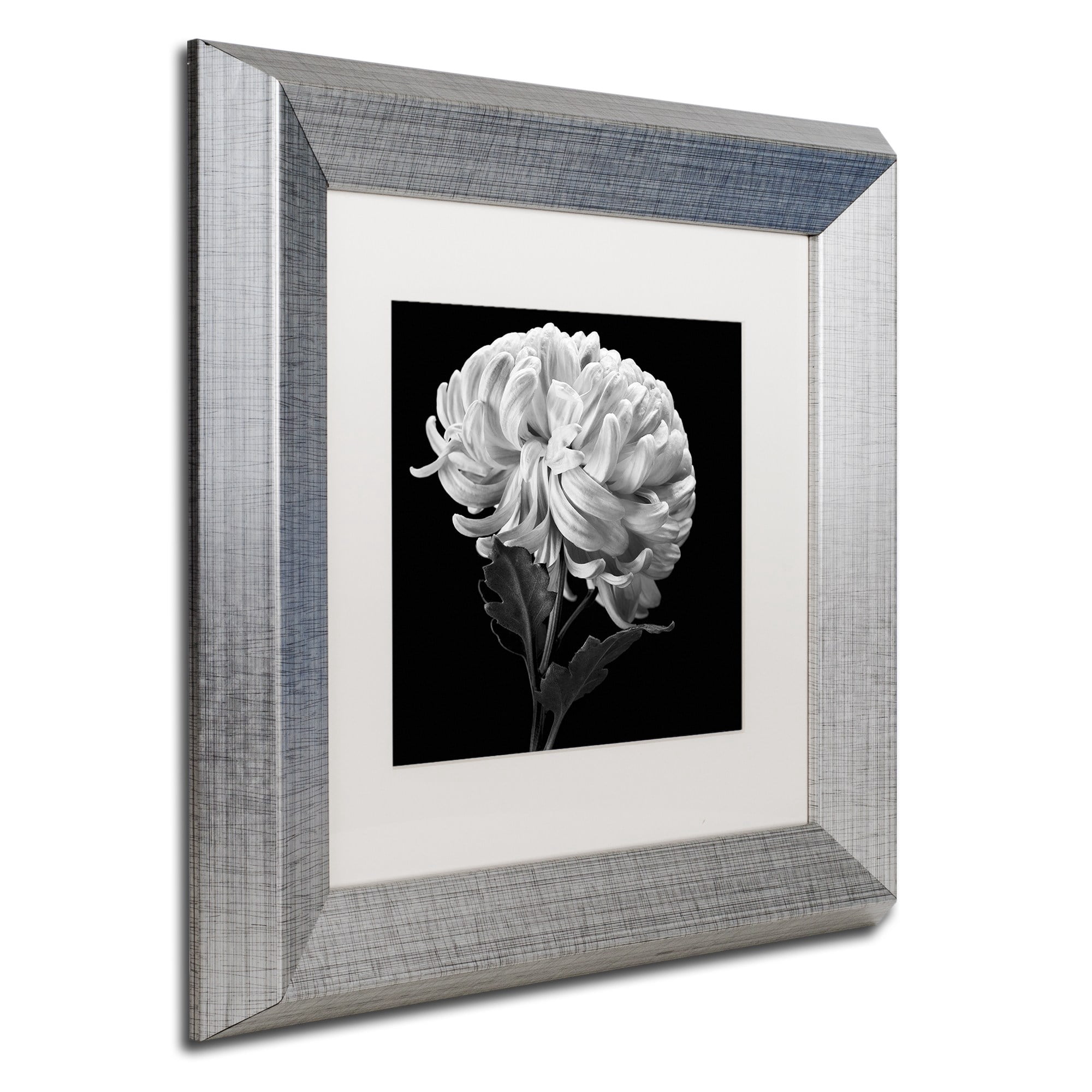 Trademark Fine Art "Mum II" Canvas Art by Michael Harrison White Matte, Silver Frame