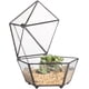 thumbnail image 1 of NCYP Pequeño Terrario Geométrico De Vidrio Cerrado En Caja De Joyas Contenedor Planta Macetero Suculento Maceta Interior Exterior (Sin Plantas), 1 of 6