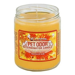 Pet s Favorite Hand Poured Odor Eliminating Candle Clean Laundry Scent Dogs and Cats Walmart