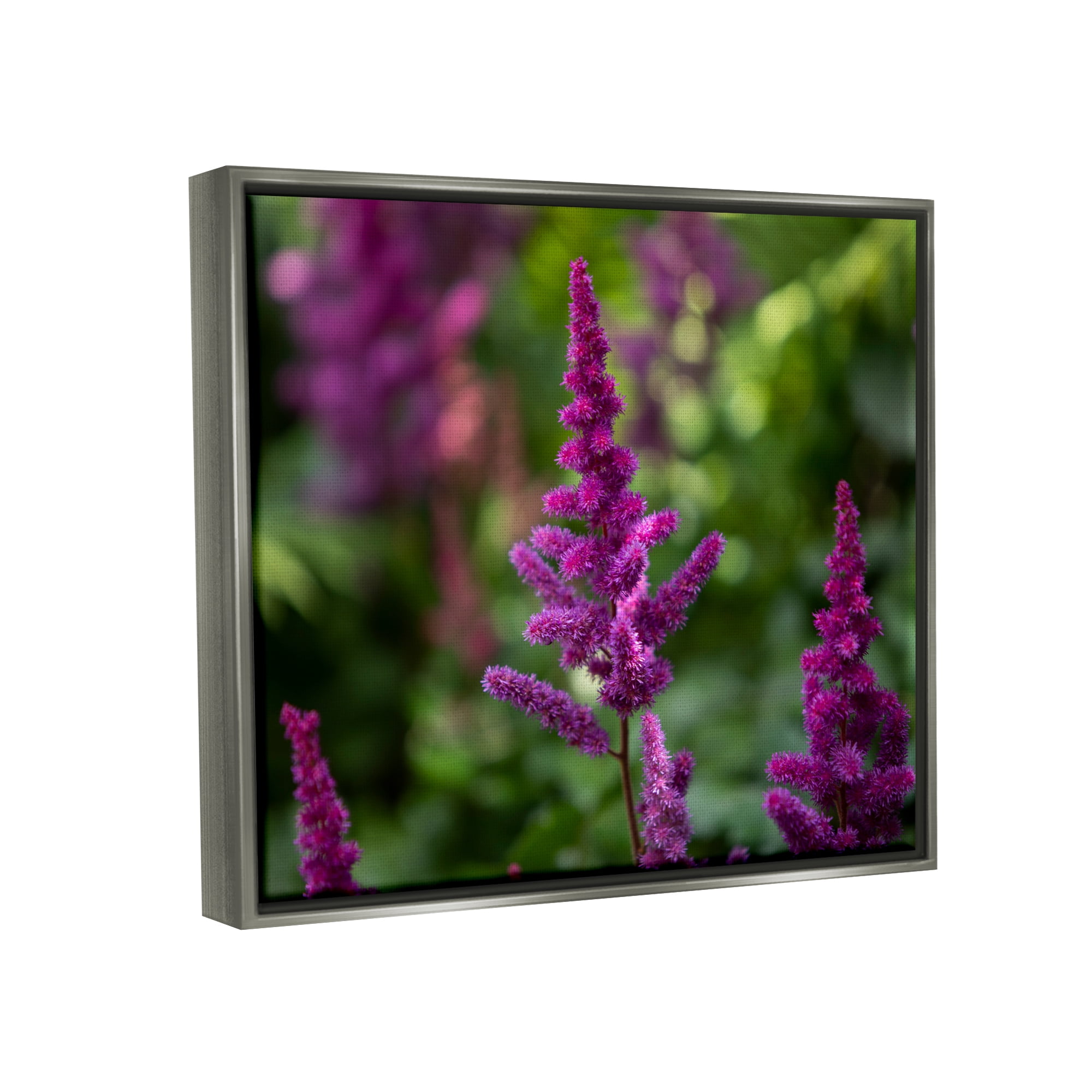 Stupell Industries Purple Flower in Nature Botanical & Floral Photography Gray Floater Framed Art Print Wall Art, 31 x 25