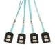 thumbnail image 3 of Cables adaptadores de datos externos SFF-8088 macho a 4 conectores SATA de 7 pines con pestillo 1M, 3 of 9