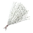 thumbnail image 2 of Tallos de Simulación de pistacho Macarena Simulación de pistacho ramo decorativo Blanco, 2 of 8
