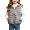 thumbnail image 2 of BLVB Boys Girls Hooded Puffer Vest Winter Lightweight Sleeveless Cute Ears Zipper up Jacket Waistcoat for Kids(Gray,6-7 Years), 2 of 9