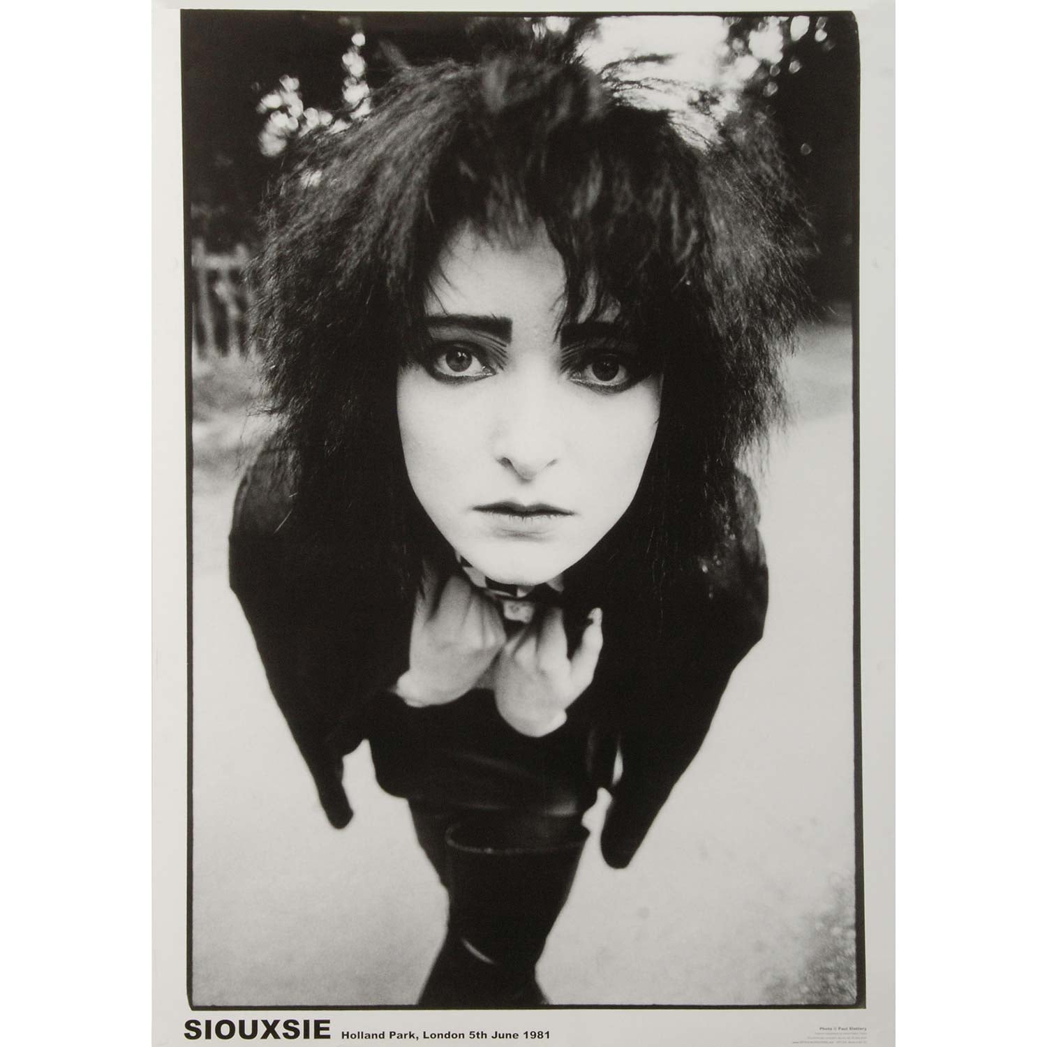 siouxsie and the banshees nocturne rar download