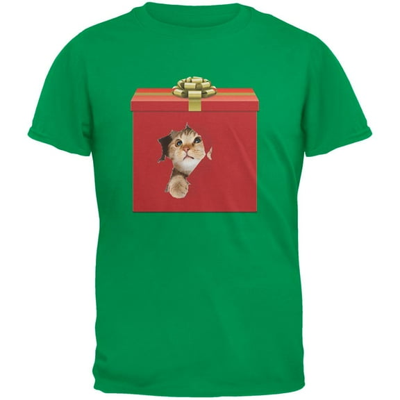 Christmas Present Cat Green Youth T-Shirt - Large(14/16)