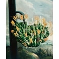 thumbnail image 2 of Thornton, Robert John 15x18 Black Ornate Wood Framed with Double Matting Museum Art Print Titled - The Aloe from The Temple of Flora, 2 of 4