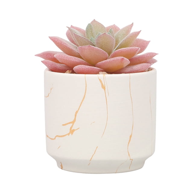 maskred 4pack/lot Exquisite Crafted Succulent Plant With Good Hand Feeling - Realistic Appearance Non-toxic ES1438-5