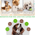 thumbnail image 4 of Plastic Interactive Puupy Dog Cat Feeder, Pet Mental Stimulation Shuffle Puzzle Toys, 4 of 5