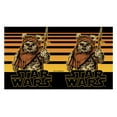 thumbnail image 2 of Star Wars Wicket Ewok Stripes  Stainless Steel Water Bottle Black 17 oz., 2 of 3