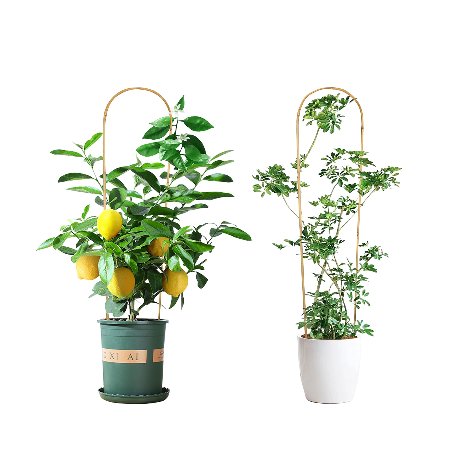 4ft Natural U-Hoops Bamboo Trellis U-Shaped Garden Trellis for Climbing Plants, Vines, Ivy, Flowers, and Potted Plants 3pcs