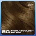 thumbnail image 2 of Clairol Nice'n Easy Permanent Hair Color Cream, 5G Medium Golden Brown, Hair Dye, 1 Application, 2 of 10