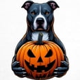 thumbnail image 3 of CafePress - Pitbull Halloween Holding Jack O Lantern - Golf Shirt, Pique Knit Golf Polo, 3 of 4