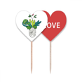thumbnail image 1 of Horus botanica momia planta cactus Palillos de dientes bandera etiqueta de amor selección de pastelitos, 1 of 4
