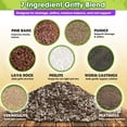 thumbnail image 2 of Succulents Soil Potting Mix – 7 in 1 Ingredients Well-Draining, Nutrient-Rich Cactus Potting Soil for Succulents and Cacti, Indoor & Outdoor Use, Ready to Use, Supports Healthy Root Growth, 1QT, 2 of 3