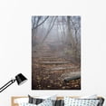 thumbnail image 1 of Spooky Forest Wall Mural by Wallmonkeys Peel and Stick Graphic (48 in H x 32 in W) WM158527, 1 of 4