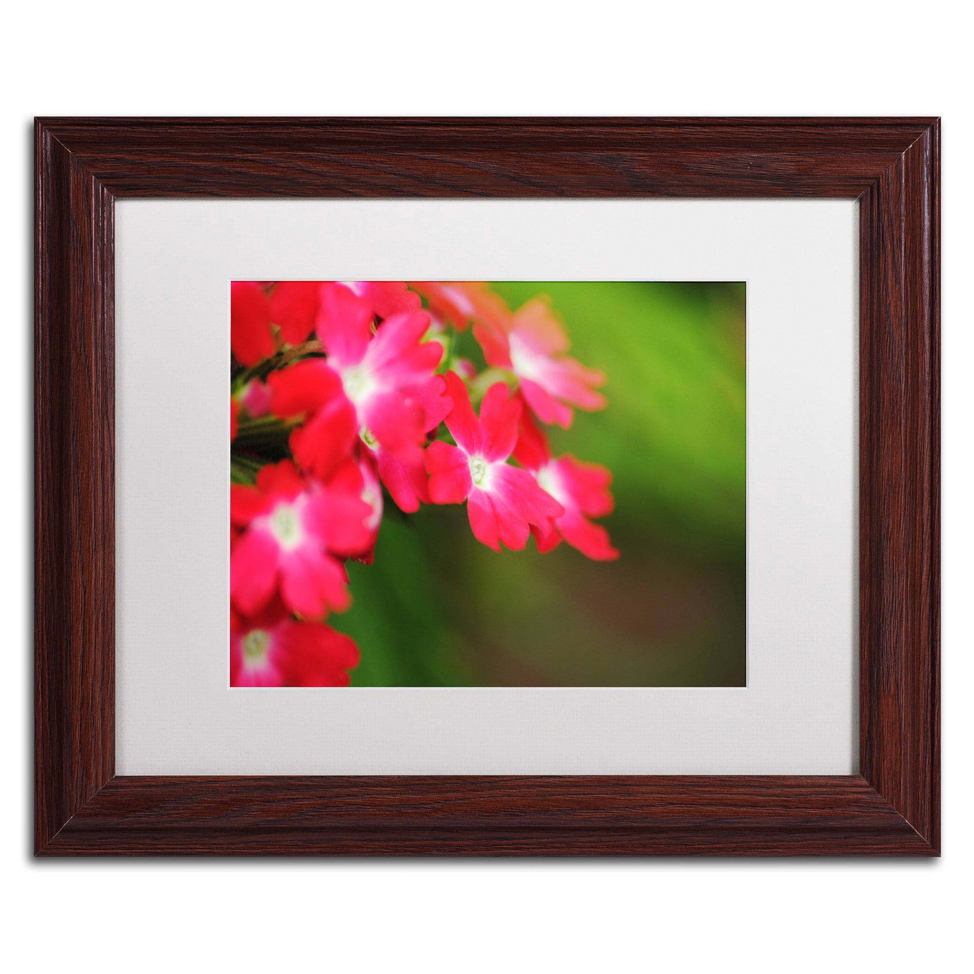 Trademark Fine Art "Paired Ornament" Canvas Art by Monica Mize, White Matte, Wood Frame