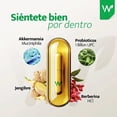 thumbnail image 4 of Natural Wisdom Akkermansia 120 Cápsulas | Jengibre + Berberina | Salud Intestinal y Microbiota | Apoyo al Metabolismo | Antioxidante, 4 of 7