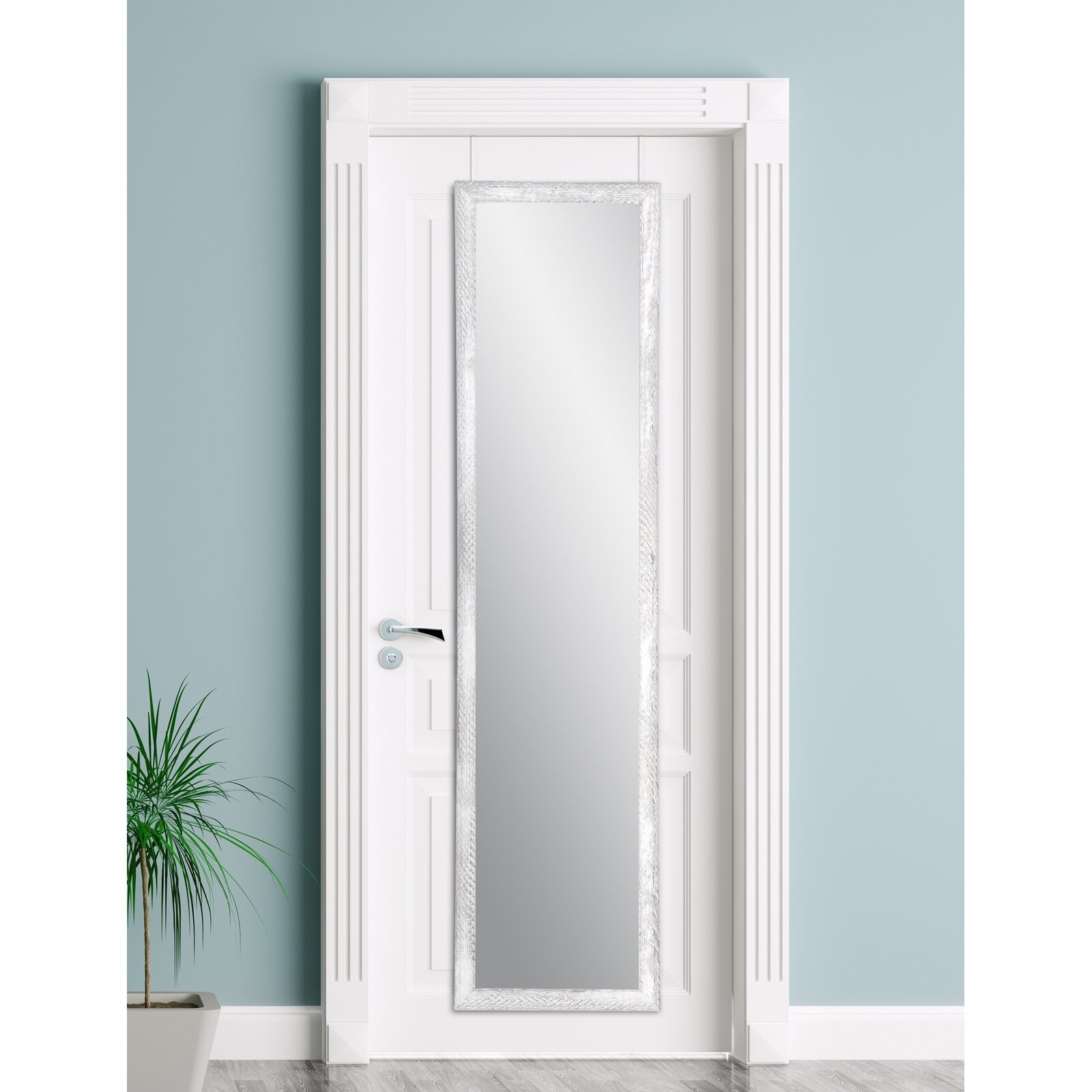 Edick Farmhouse Slim Over the Door Full Length Mirror, Mirror will