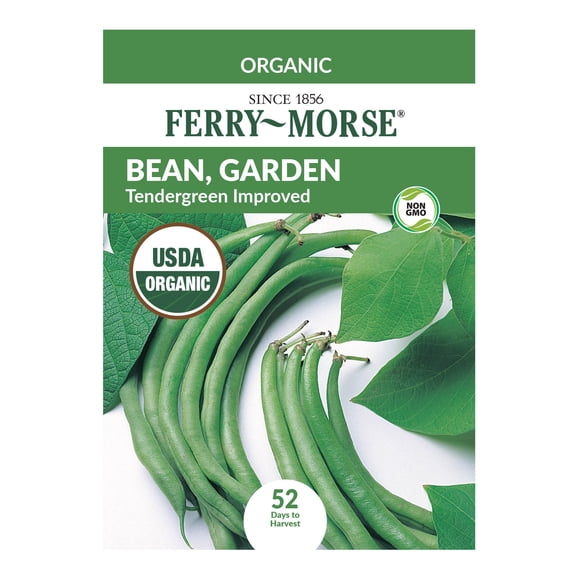 Ferry-Morse 6.5G Organic Bean Tendergreen Improved Annual Vegetable Seeds, Full Sun