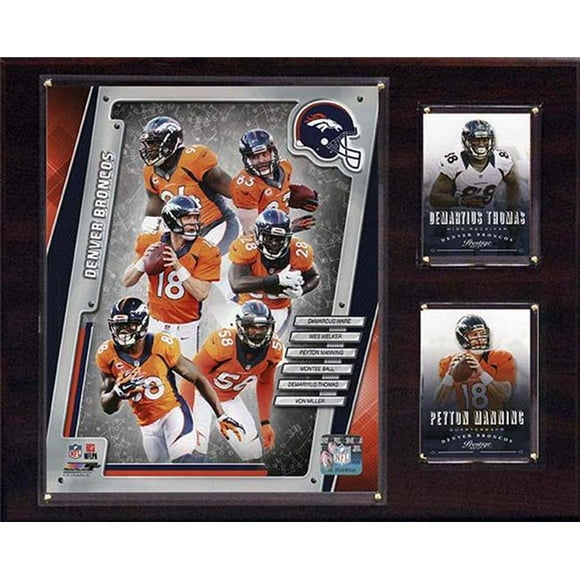 CandICollectables 1215DBRONC14 NFL 12 x 15 in. Denver Broncos 2014 Team Plaque