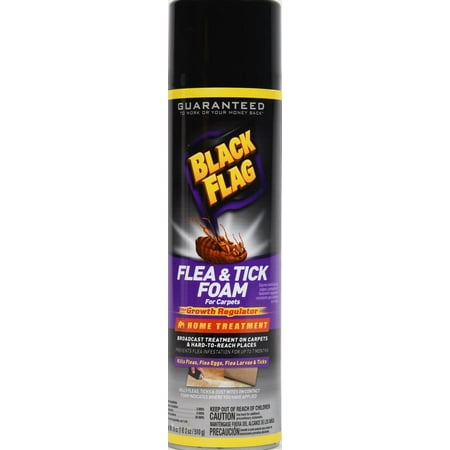 Black Flag Flea & Tick Foam For Carpets Plus Growth Regulator Home Treatment,