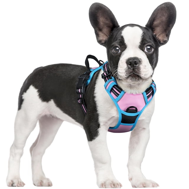 Arnés para perros Rabbitgoo sin tirones, ajustable en forma de S, rosa y azul