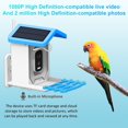 thumbnail image 4 of Balieda Bird Feeder with Camera, 84.55OZ Smart Bird Feeder with AI Identify for 11000 Plus Bird Species for Outdoors, Bird Feeder Camera Real Time Views and Notifications, 4 of 8