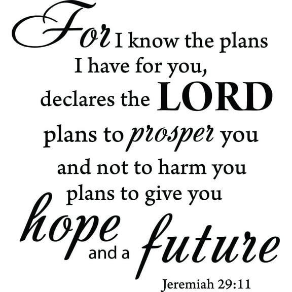 Black 15" x14" Decaltor for I Know The Plans I Have for You declares The Lord Jeremiah 29:11 Quotes Sayings Words Art Decor Lettering Vinyl Wall Art Inspirational Uplifting Bible