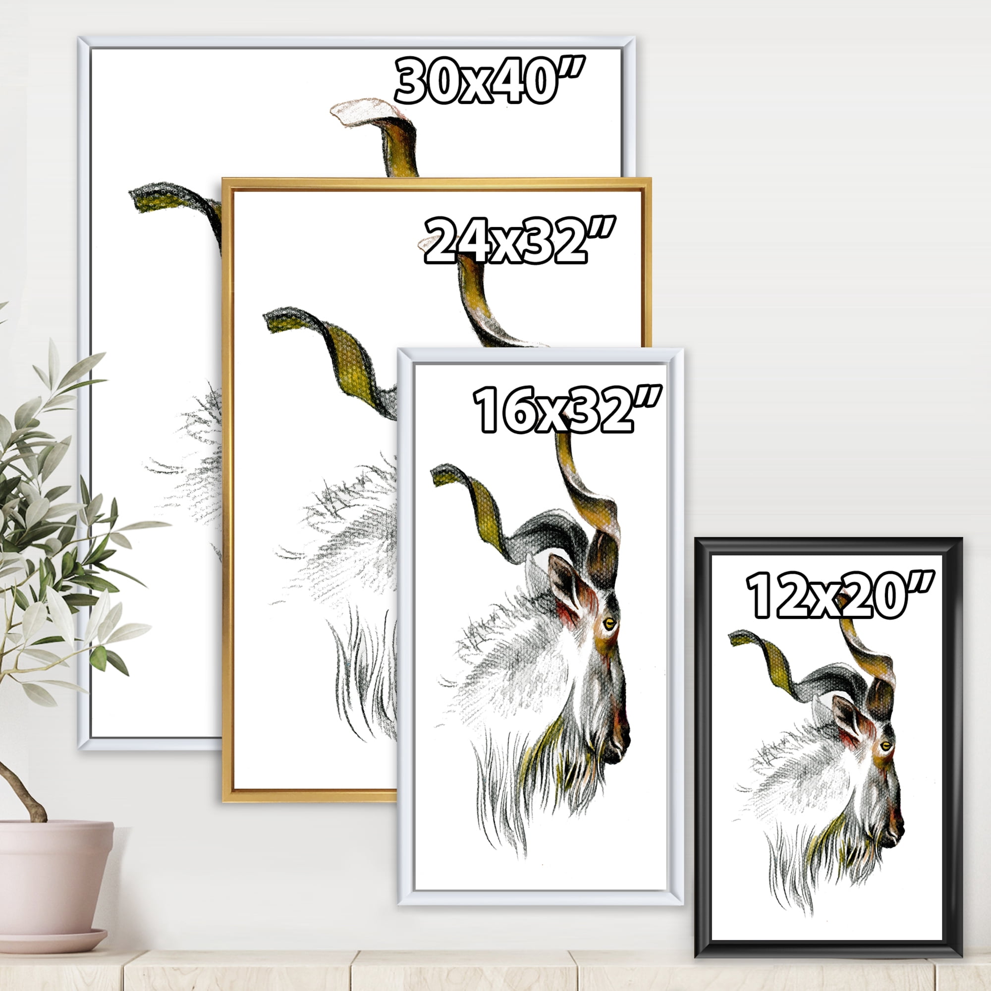 Designart 'Black and White Portrait Of Goat II' Farmhouse Framed Canvas Wall Art Print