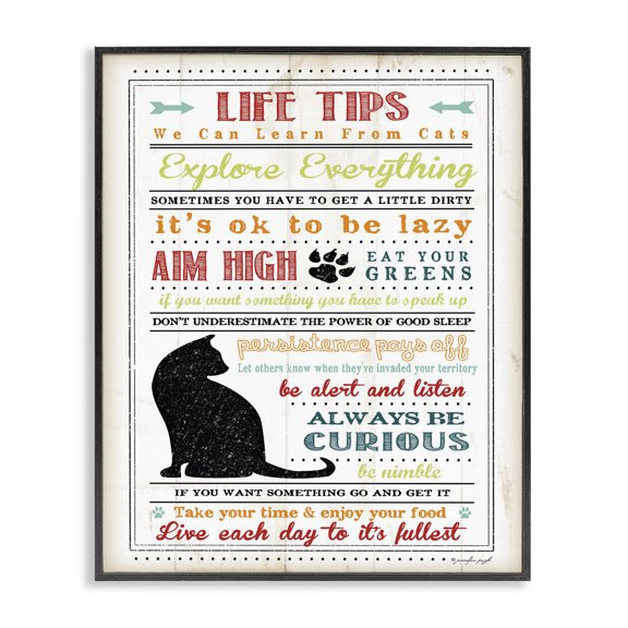 Stupell Industries Shabby Chic Pet Life Tips From Cats Black Framed Giclee Art, 16 x 20, by Jennifer Pugh