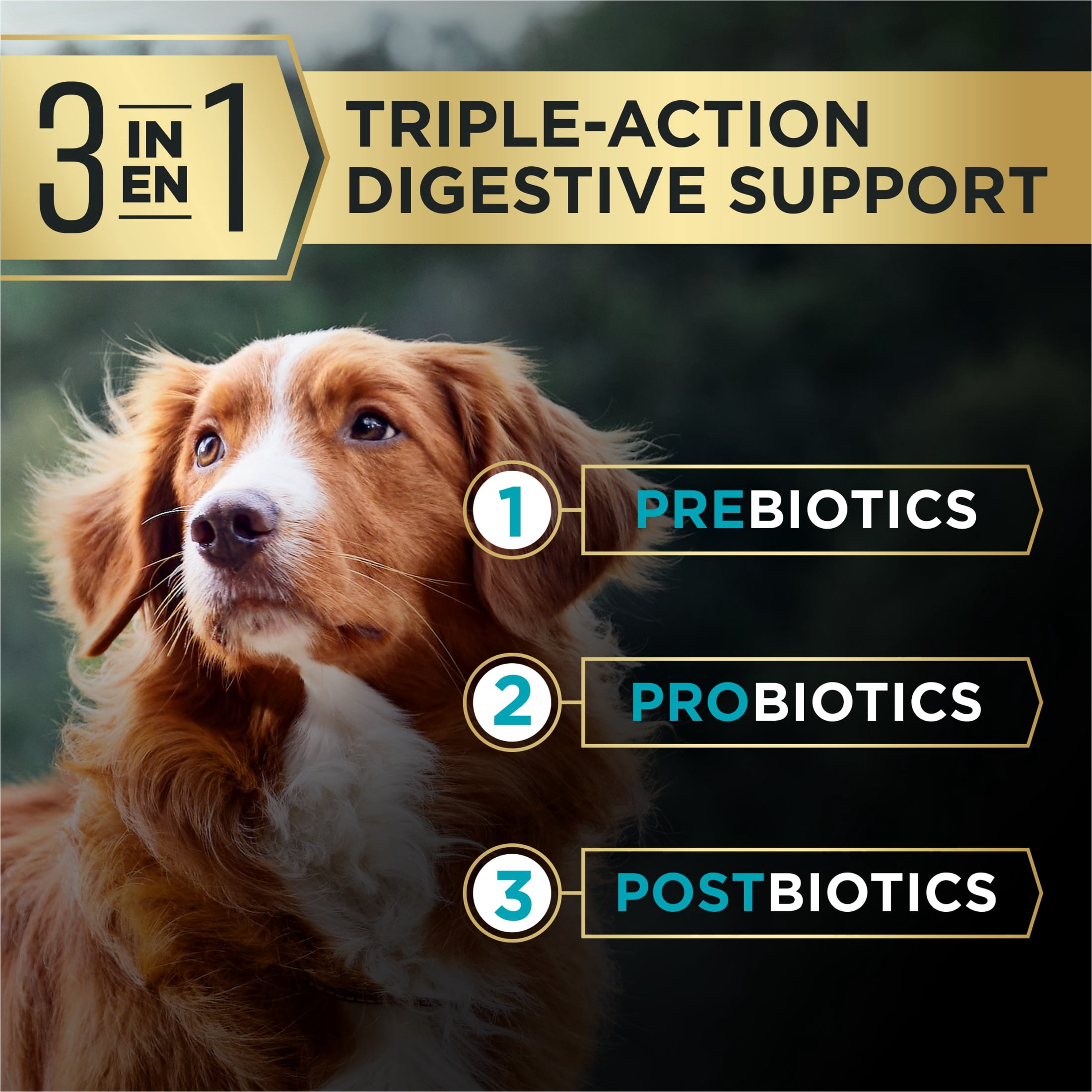 Purina Pro Plan AdvantEDGE Large Breed Digestive Support Plus Salmon & Oat Meal Formula Dry Dog Food, 22 lb Bag
