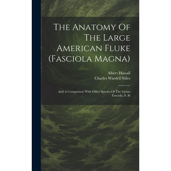 The Anatomy Of The Large American Fluke (fasciola Magna) (Hardcover)