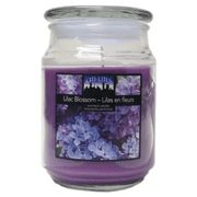 Citi-Lites Apothecary Jar Lilac Blossom 18 Oz
