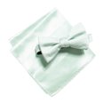 thumbnail image 1 of Alfani Mens Satin Neck Tie Set, Green, One Size, 1 of 1