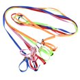 thumbnail image 1 of Pet Bird Harness Adjustable Leash Flying Training Rope for Parrot Cockatoo Macaw Cockatiels, 1 of 9