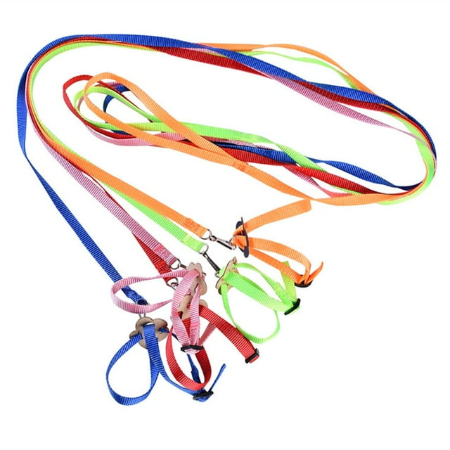 Pet Bird Harness Adjustable Leash Flying Training Rope for Parrot Cockatoo Macaw Cockatiels