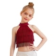 thumbnail image 3 of vastwit Kids Girls Latin Dance Tassel Shirt Sleeveless Layered Fringe Crop Top Samba Tango Ballroom Dancewear Burgundy 10, 3 of 7