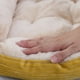 thumbnail image 5 of Pet Cat Dog Bed Cozy Square Plush Kennel Puppy Sofa Bed Small Large Dog Sleep Pad Portable Pet Bed Nest Pet Supplies Accessories ShopWise Round, 5 of 19
