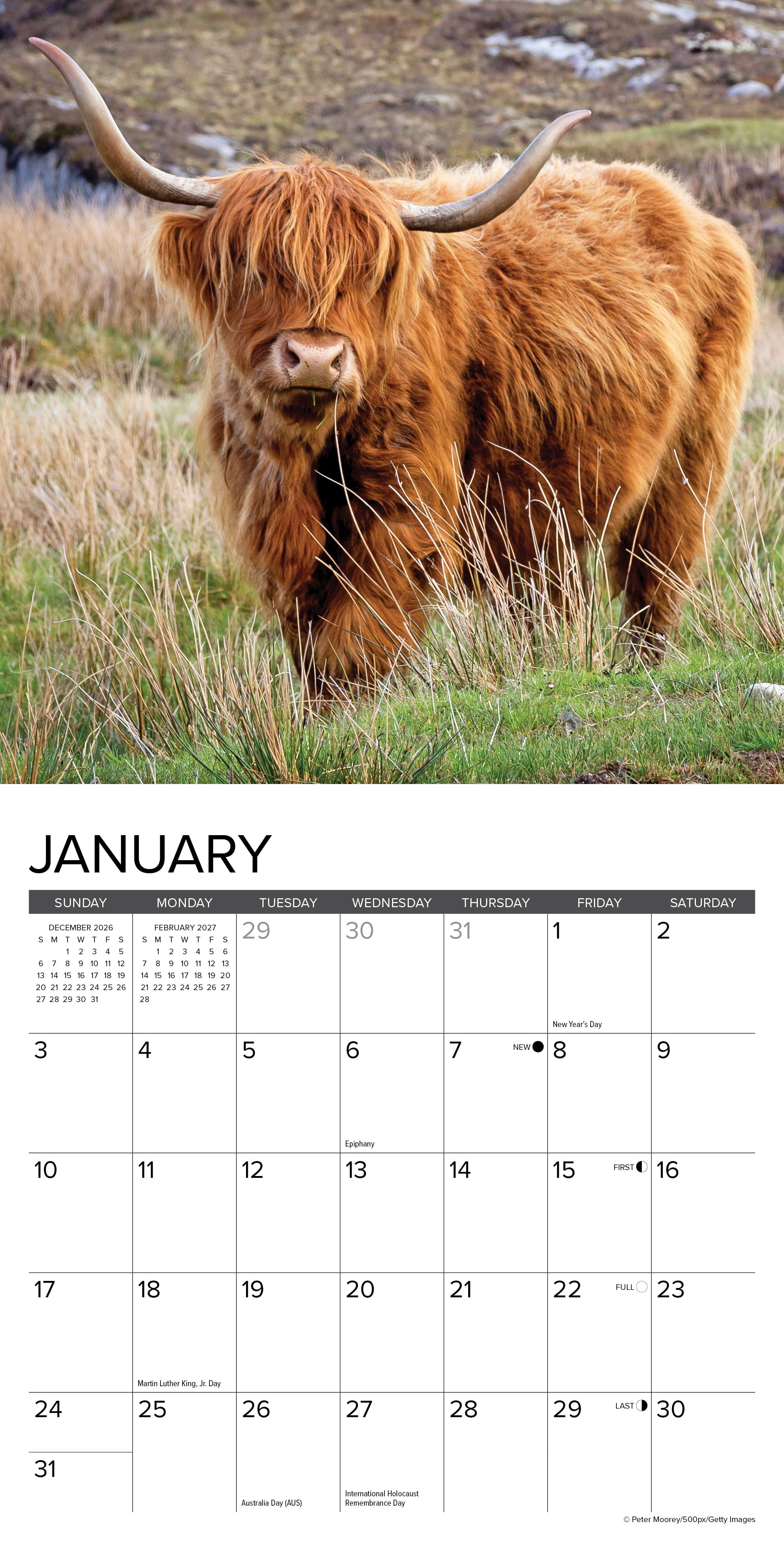 Willow Creek Press, Highland Cows 2027 Mini Wall Calendar